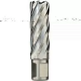 Фото товара «Фреза Euroboor HSS Ø25/ L 55 мм (HCL250)»